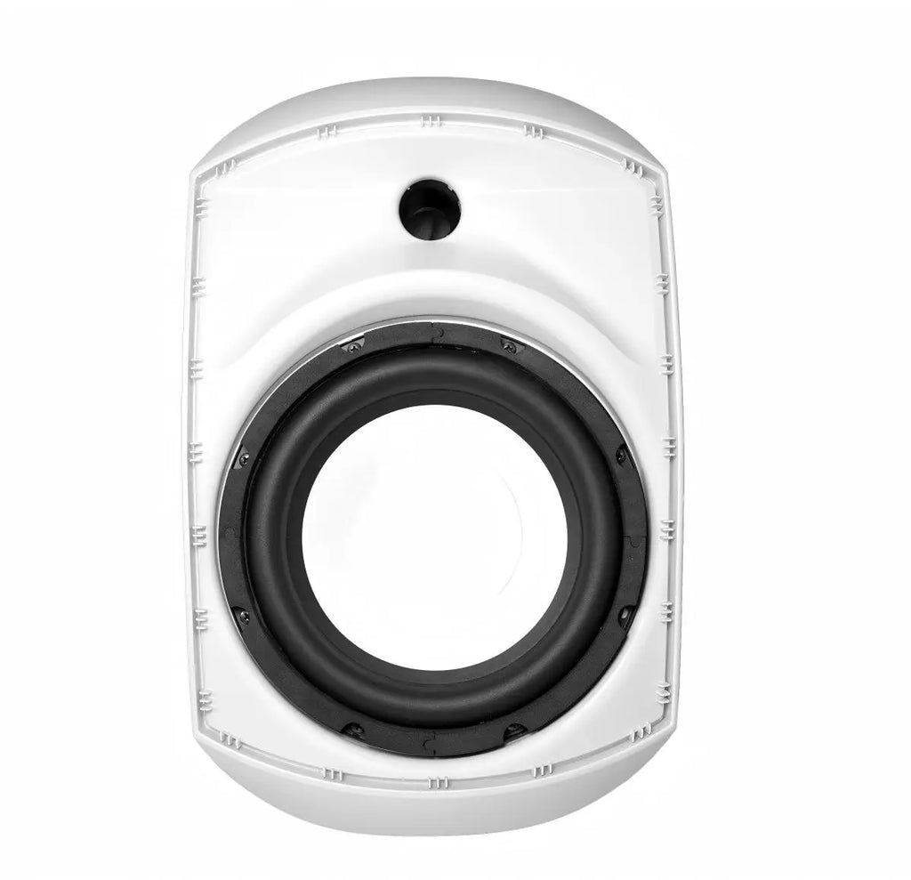 V Indoor Wall Mount Subwoofer With 8 Inch Driver Low Pass Filter 100V Line 360 Degree Bracket PP Housing Commercial Bass Speaker