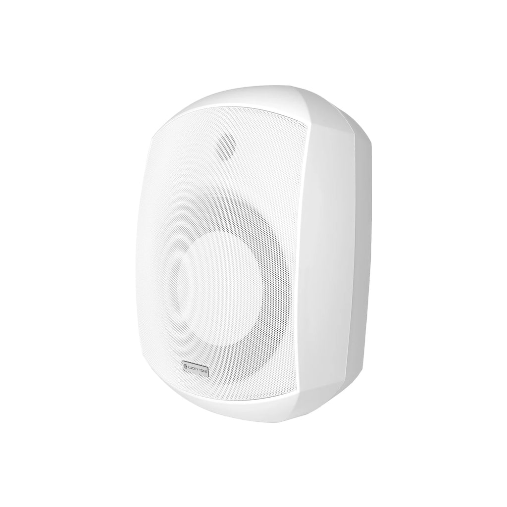 V Indoor Wall Mount Subwoofer With 8 Inch Driver Low Pass Filter 100V Line 360 Degree Bracket PP Housing Commercial Bass Speaker