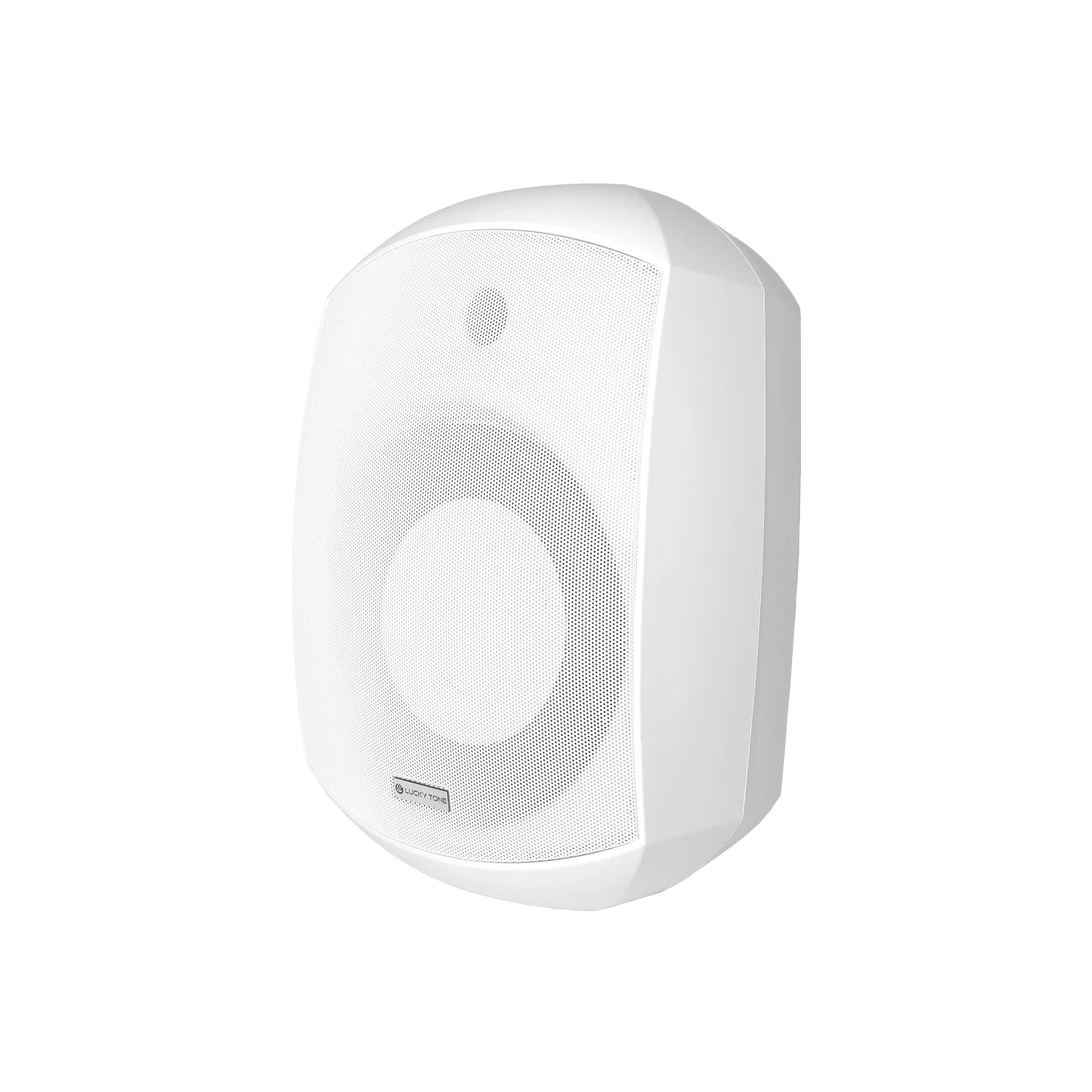 V Indoor Wall Mount Subwoofer With 8 Inch Driver Low Pass Filter 100V Line 360 Degree Bracket PP Housing Commercial Bass Speaker