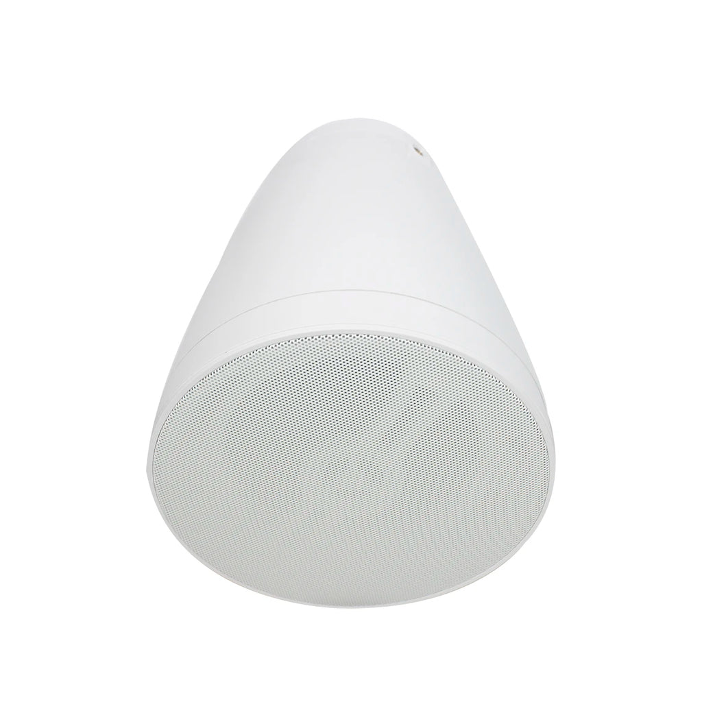 Premium Hanging Speaker Acoustic Engineering Housing Wide Coverage for Bar Restaurant Retail