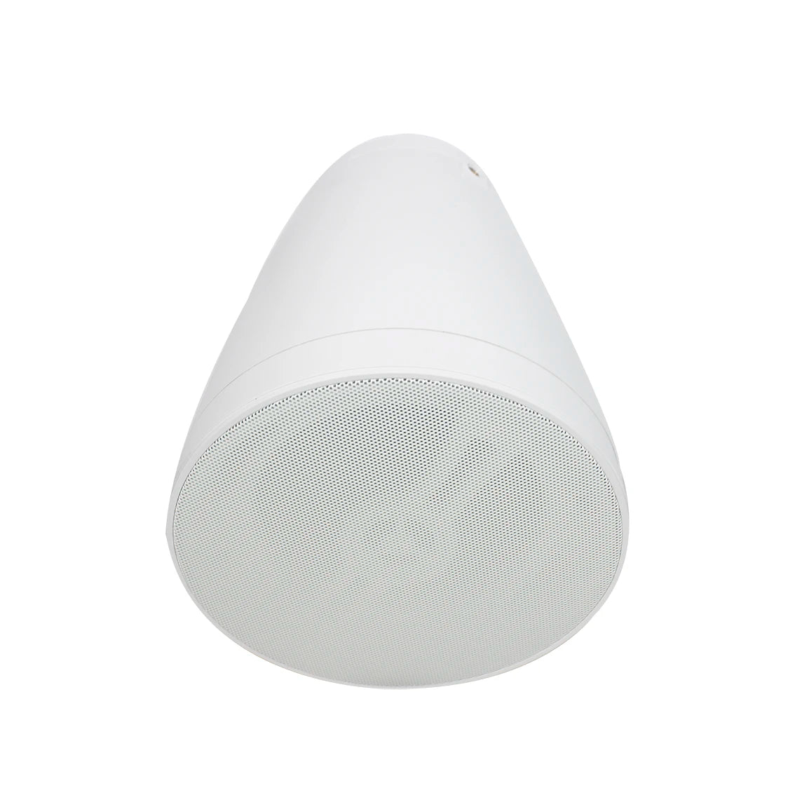 Premium Hanging Speaker Acoustic Engineering Housing Wide Coverage for Bar Restaurant Retail