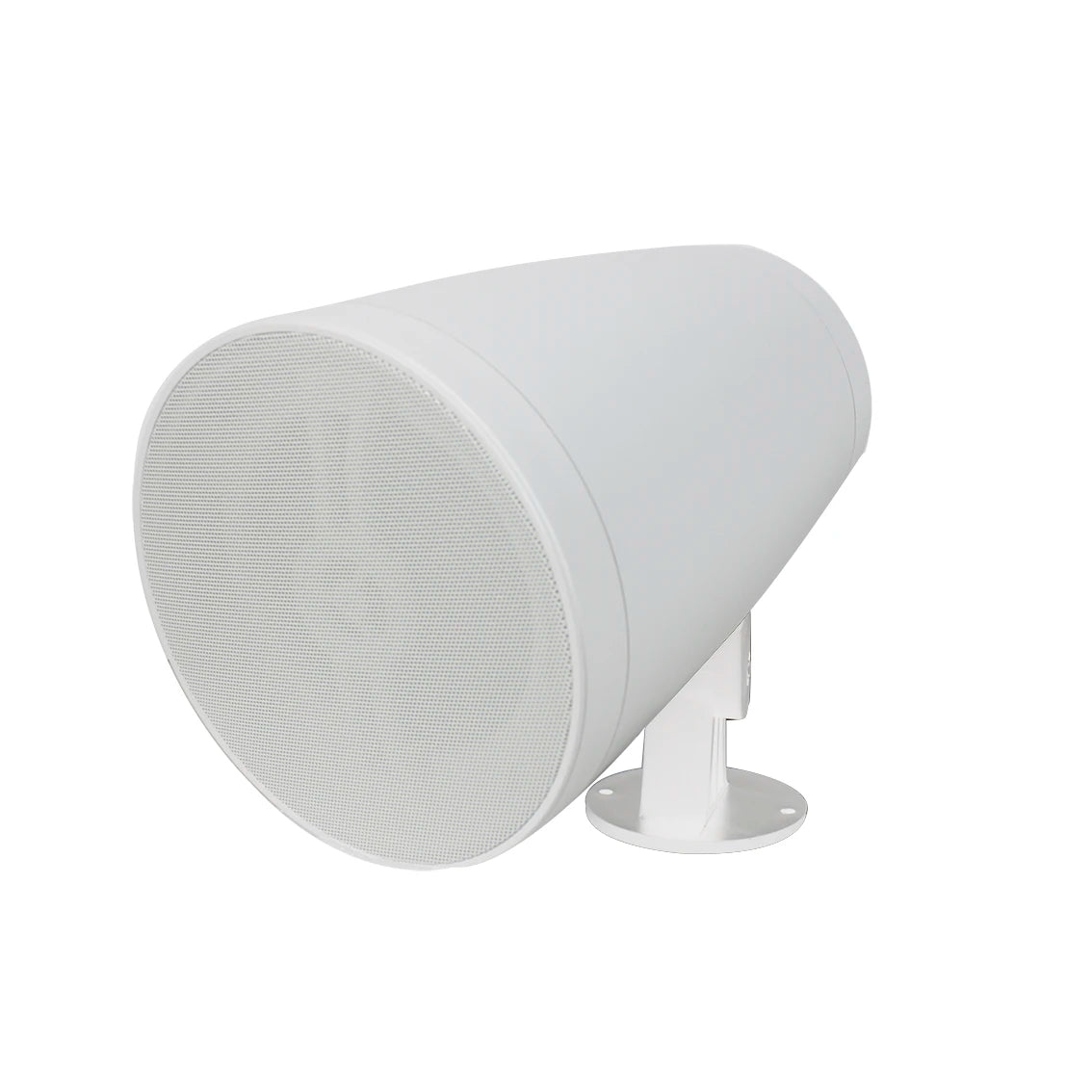 Premium Hanging Speaker Acoustic Engineering Housing Wide Coverage for Bar Restaurant Retail