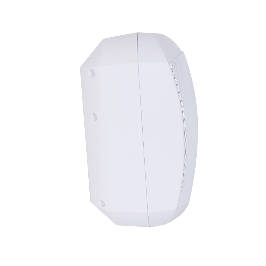 V All Weather Wall Mount Speaker With IP66 Rating 2-Way System Rotatable Bracket for Commercial Outdoor Audio 100V Line Speaker