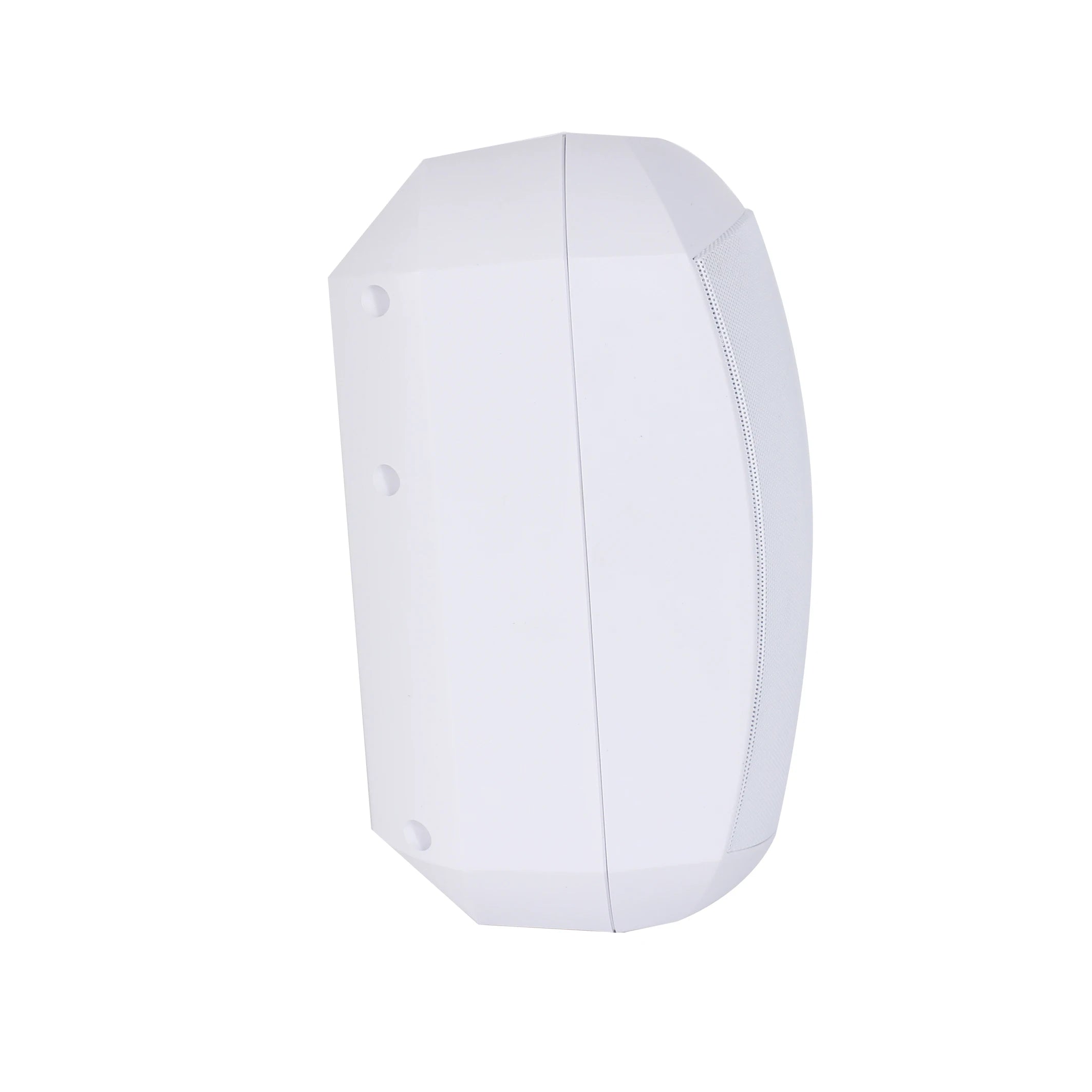 V All Weather Wall Mount Speaker With IP66 Rating 2-Way System Rotatable Bracket for Commercial Outdoor Audio 100V Line Speaker