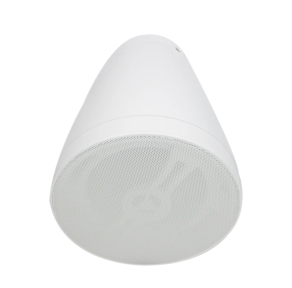Premium Hanging Speaker Acoustic Engineering Housing Wide Coverage for Bar Restaurant Retail