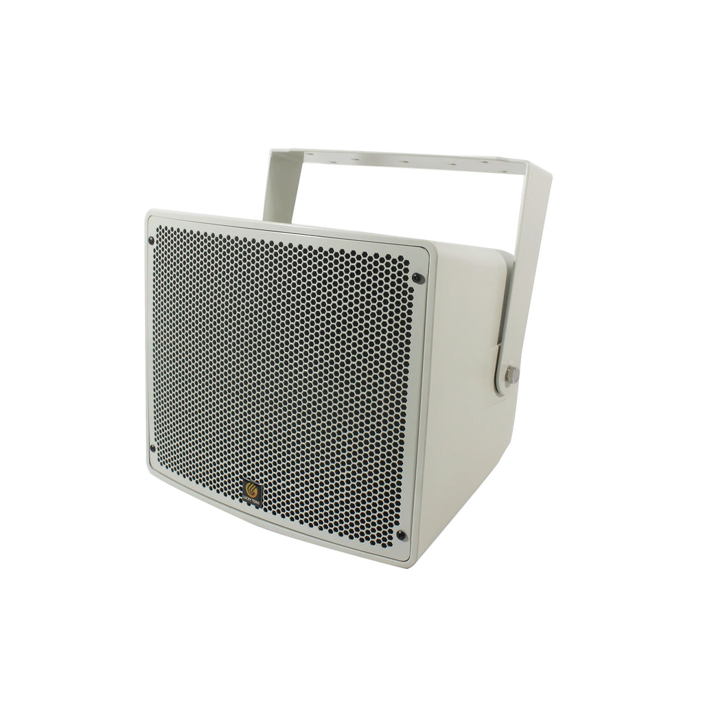 All Weather Two Way Horn Speaker IP55 Coaxial Design SIP Network Audio 100V Line for Commercial Music Application