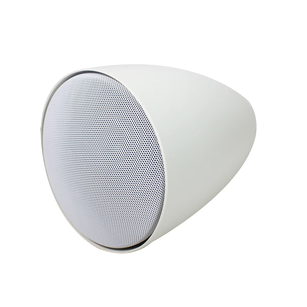 V Pendant Speaker 5 Inch Paintable Housing 5m Cable 70V 100V 8 Ohm For Commercial BGM System