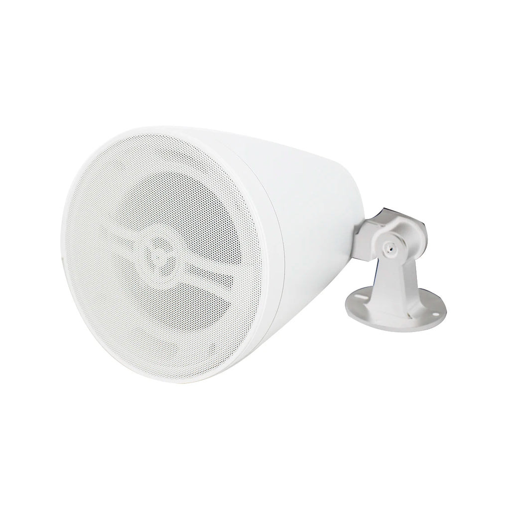 Premium Hanging Speaker Acoustic Engineering Housing Wide Coverage for Bar Restaurant Retail