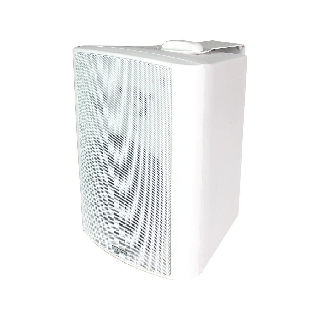 V PA Wall Mount Speaker With 20/30/40W ABS Enclosure Elegant Indoor BGM Background Music Wall Speaker Speaker Audio System
